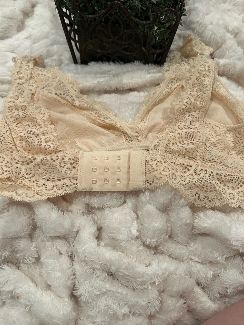 NWOT Soma Lace Bralette in Light Beige